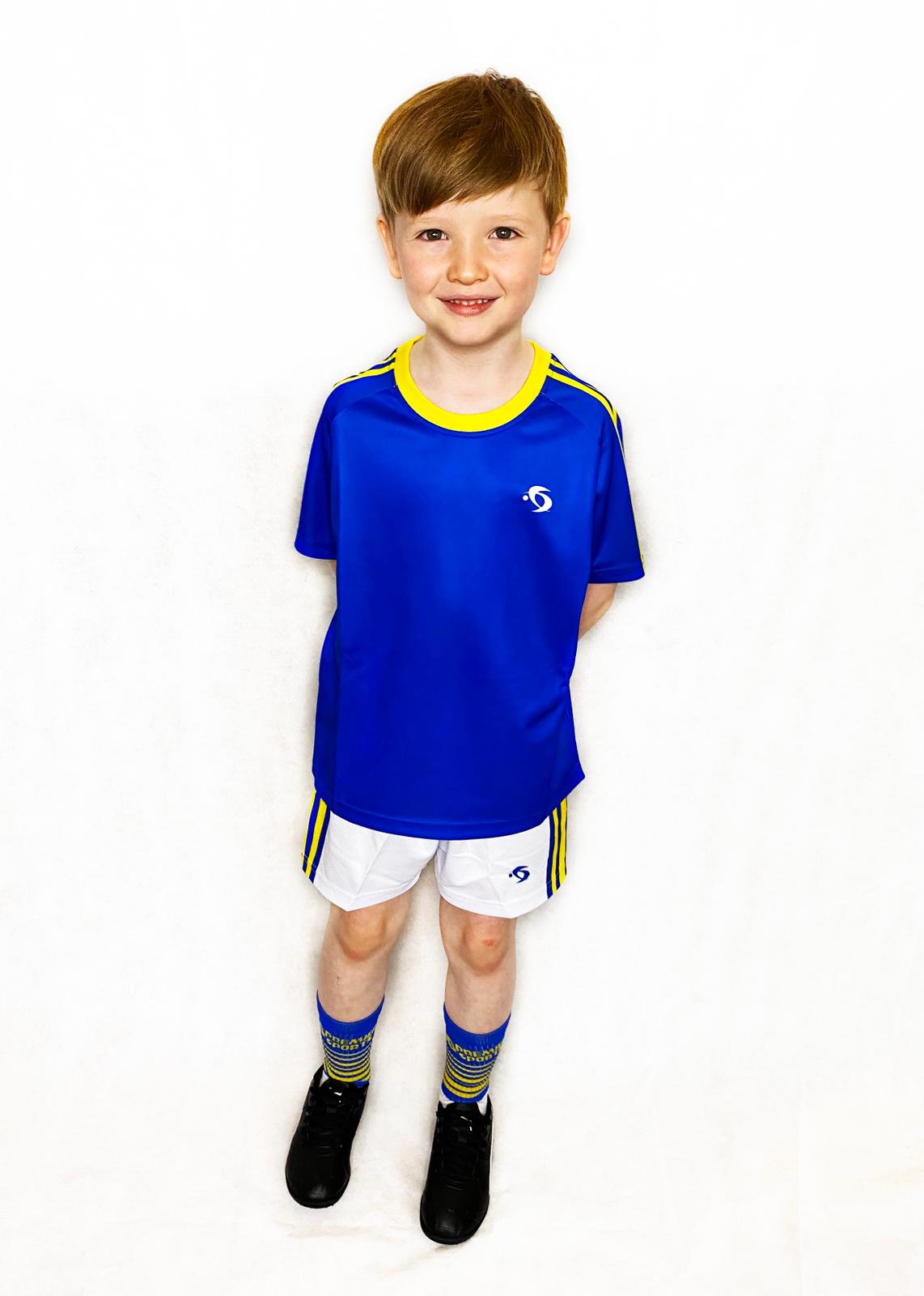 PREMIER SPORTS TRAINING JERSEY - KIDS (BLUE/GOLD)