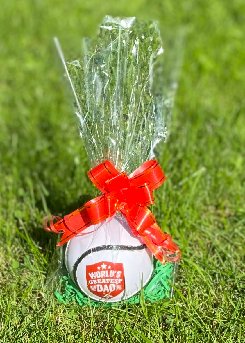 GIFT SLIOTAR - WORLD'S GREATEST DAD