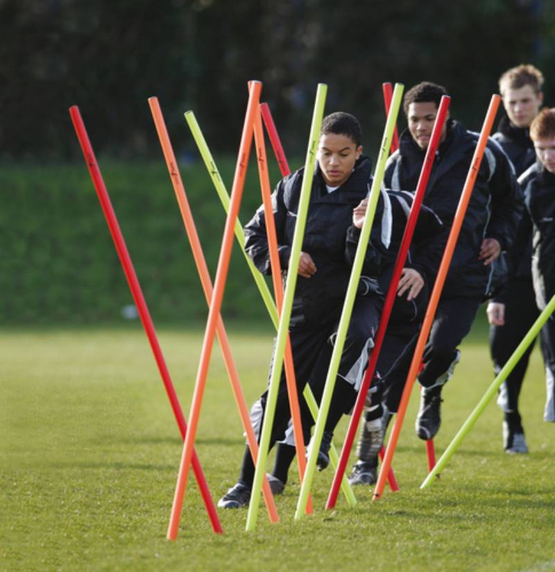 Precision  - Boundary Poles  - Set of 12