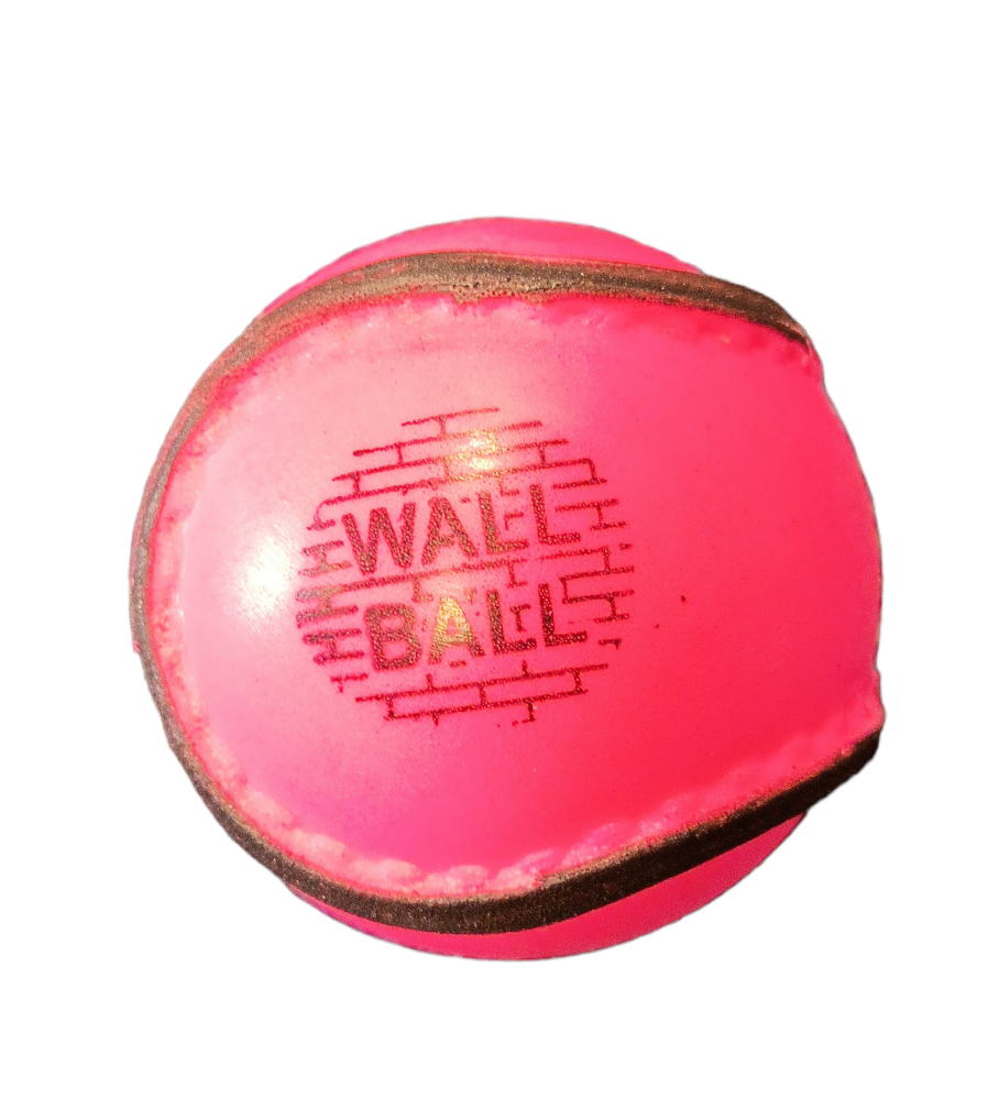 PREMIER SPORTS - WALL BALL PINK (SIZE 4)