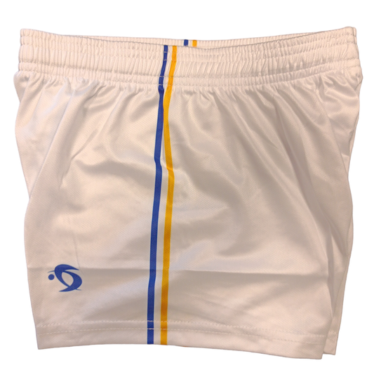 PREMIER SPORTS TRAINING SHORTS - KIDS THIN STRIPE (BLUE/GOLD)