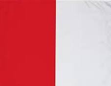 Half & Half Plain Supporters Flag  - Red/White