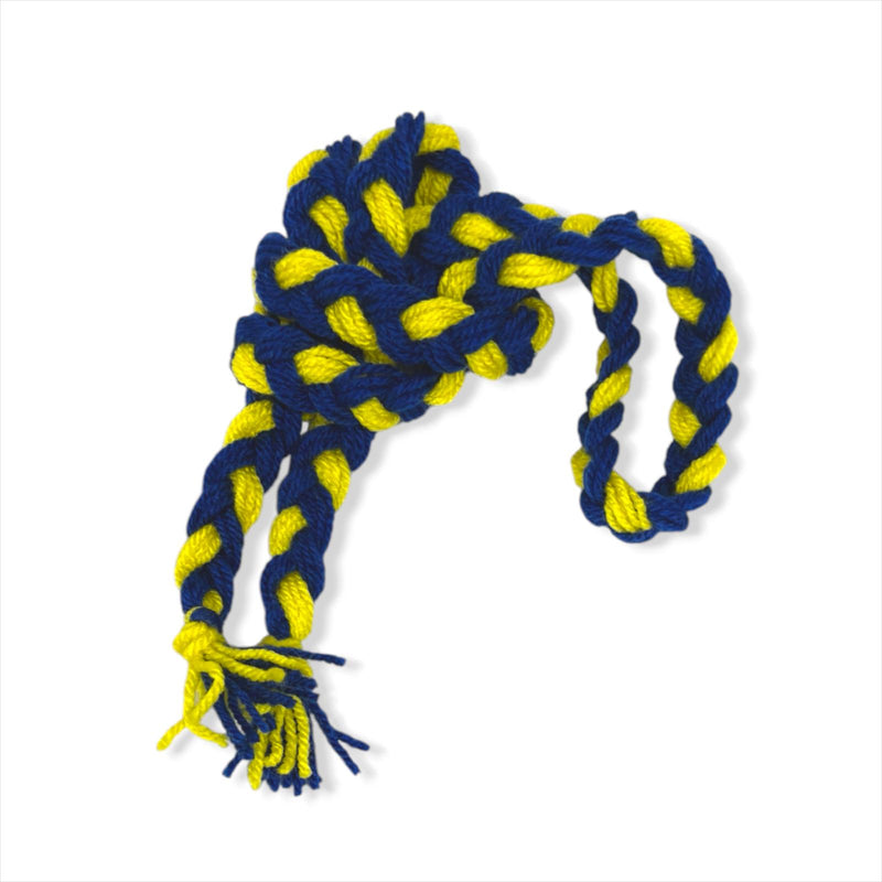 Wool Supporters Plait - Blue/Yellow