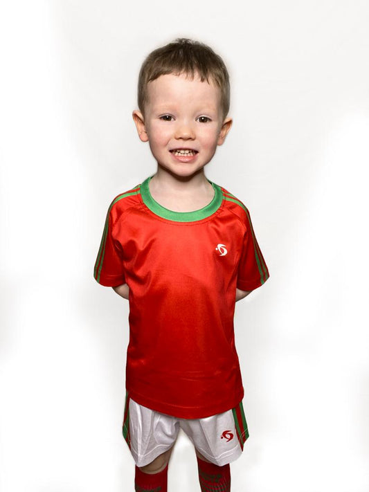 PREMIER SPORTS TRAINING JERSEY - KIDS (RED/GREEN)