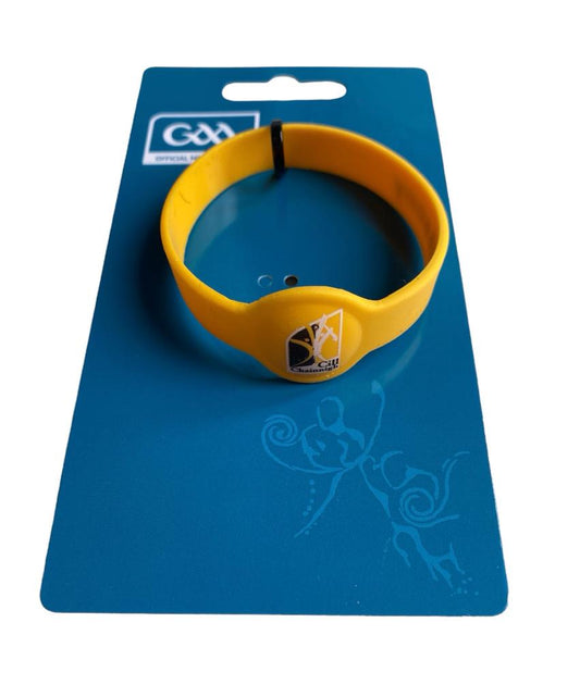 KILKENNY GAA WRISTBAND