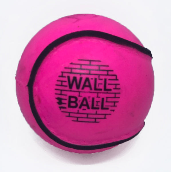 PREMIER SPORTS - WALL BALL PINK (SIZE 5)