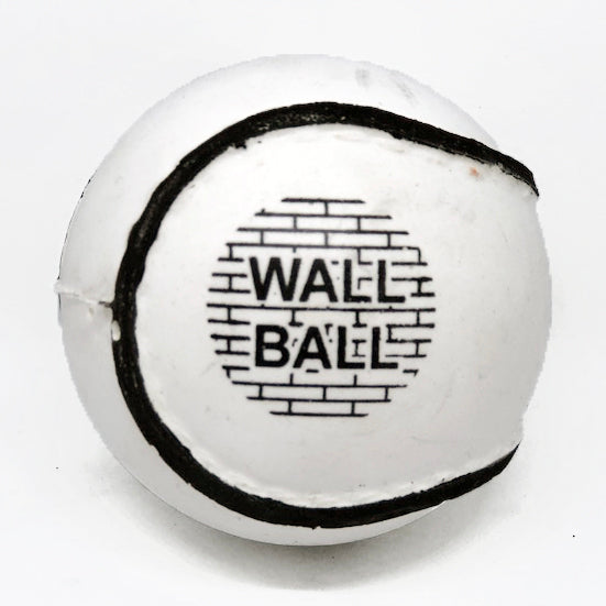 PREMIER SPORTS - WALL BALL WHITE (SIZE 5)