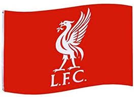 LIVERPOOL CORE FLAG