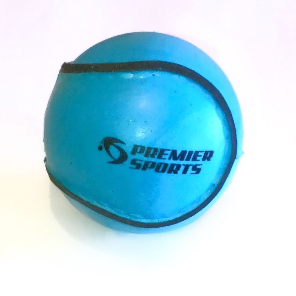 PREMIER SPORTS - WALL BALL BLUE (SIZE 4)